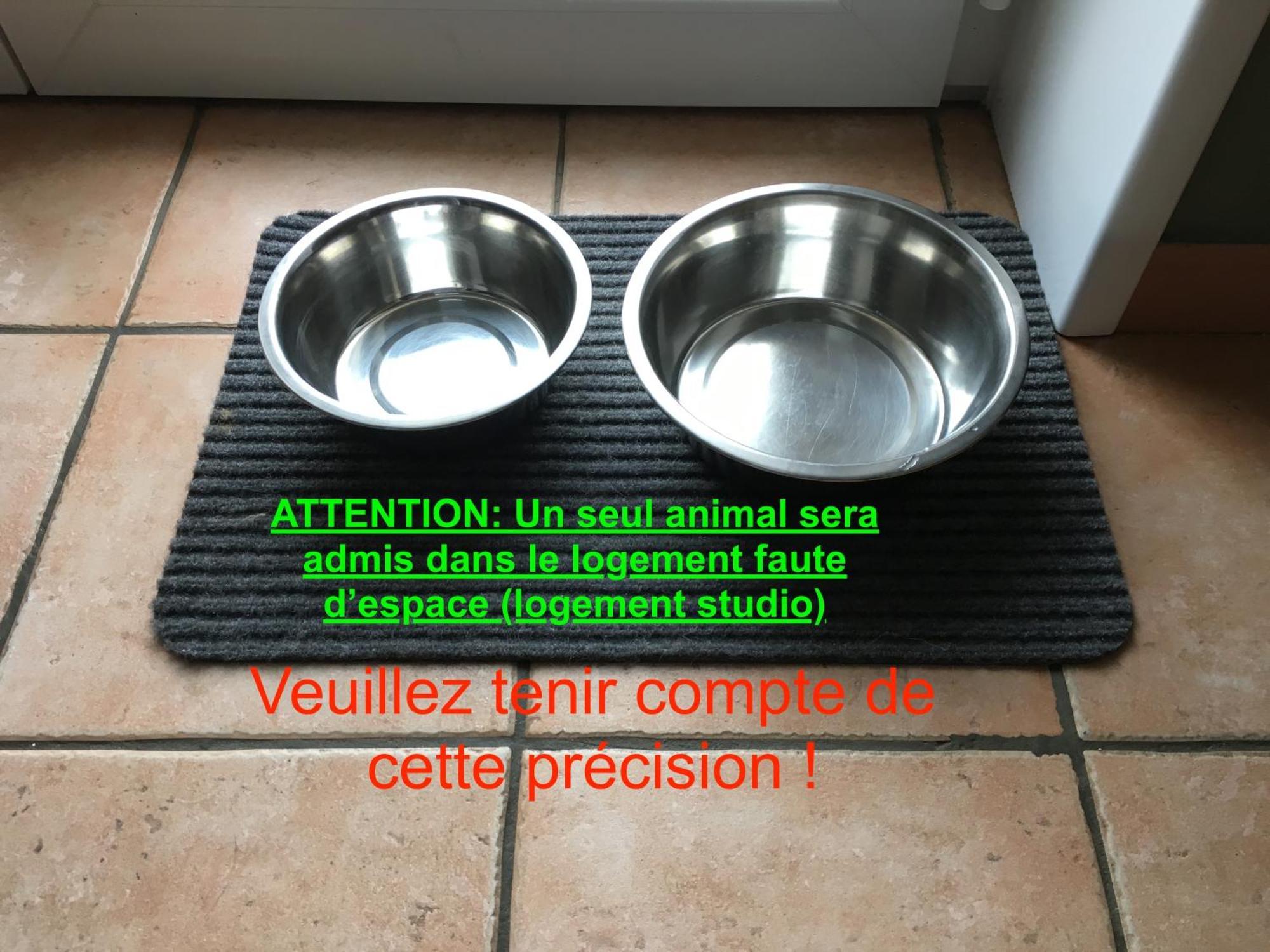Studio "Cote Mer" La Naturelle - Wimereux Exteriér fotografie